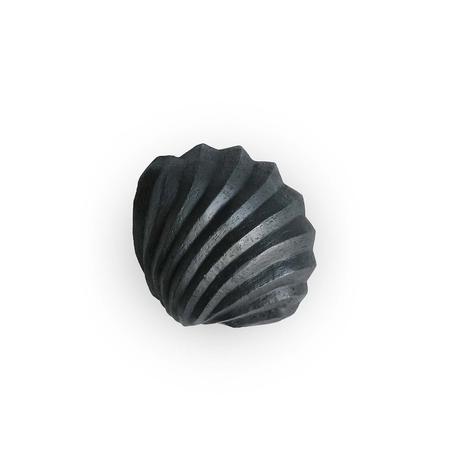 Cooee Design クーイーデザイン からのThe Clam Shell スカルプチャー 13 cm