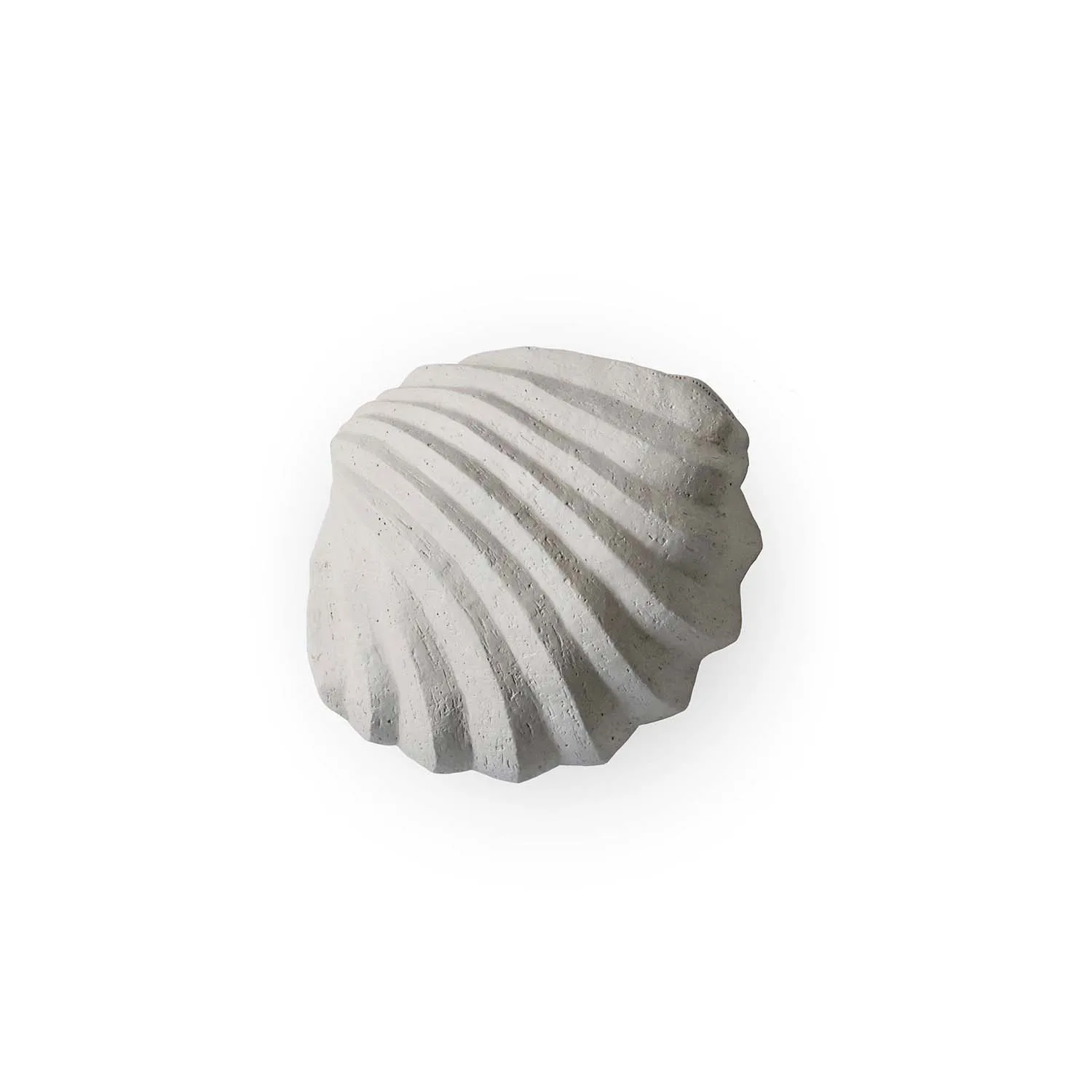 Cooee Design | クーイーデザイン からのThe Clam Shell スカルプ