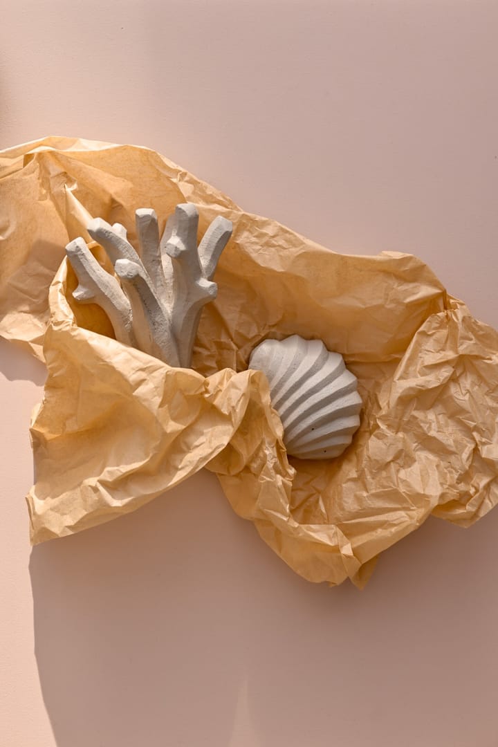 The Clam Shell スカルプチャー 13 cm, Limestone Cooee Design | クーイーデザイン