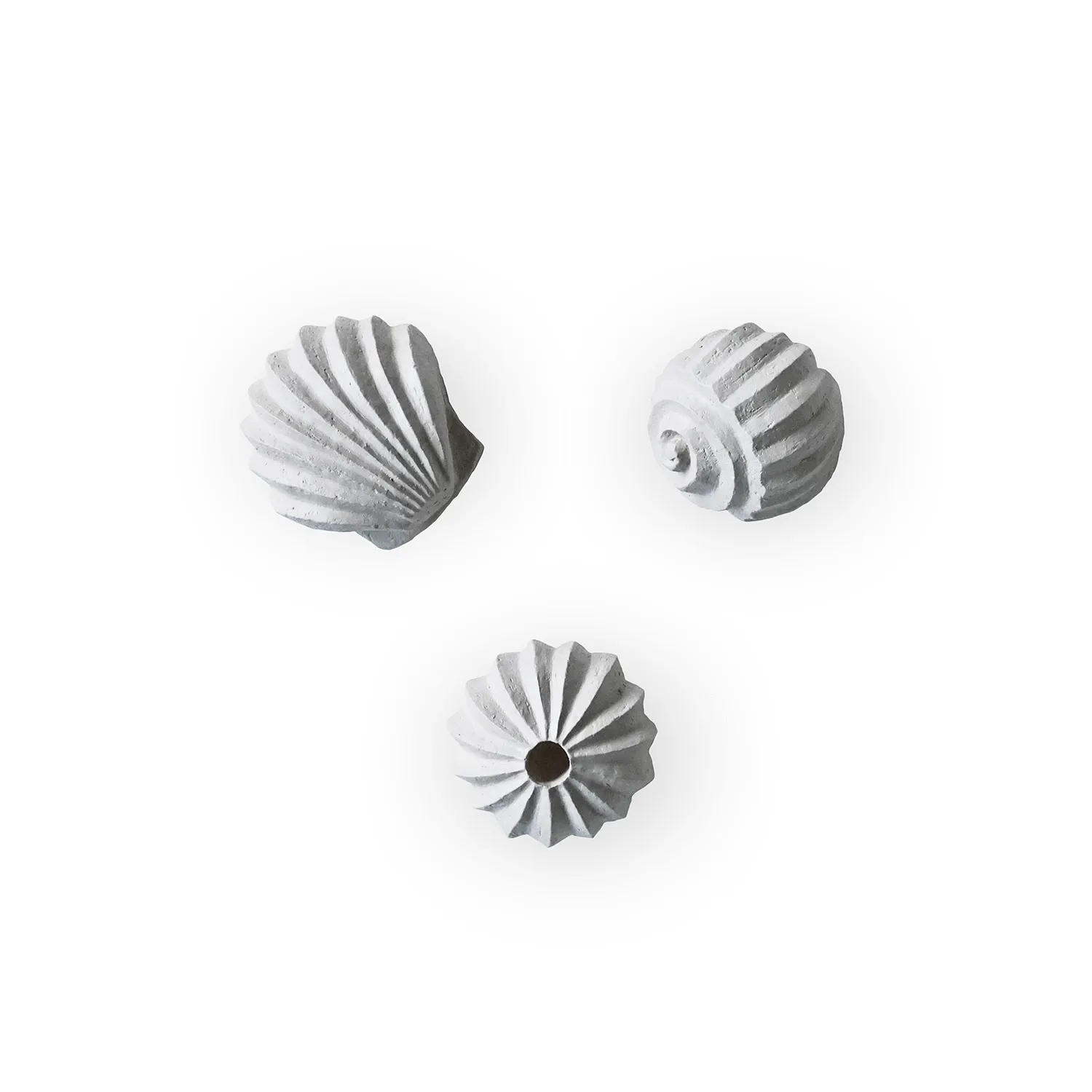 Cooee Design | クーイーデザイン からのThe Genesis Shells スカルプ