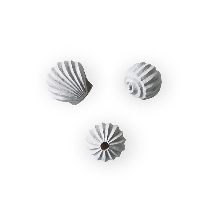 The Genesis Shells スカルプチャー 3パック - Limestone - Cooee Design | クーイーデザイン