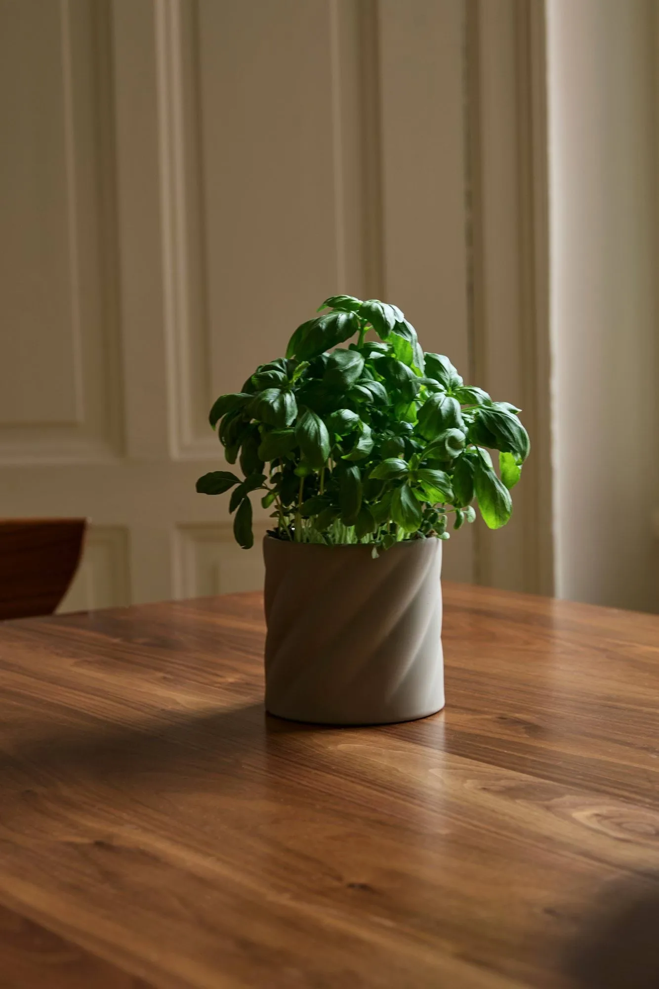 Twist 植木鉢, Sand, small Ø12 cm Cooee Design | クーイーデザイン