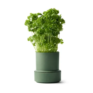 Billund セルフウォータリング ハーブポット - Parsley - Crushgrind