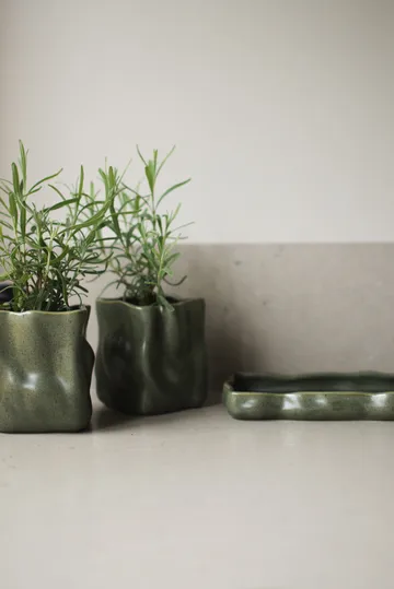 ハーブ用ポット＆トレイ 3点セット - Moss - DBKD | ディービーケーディー