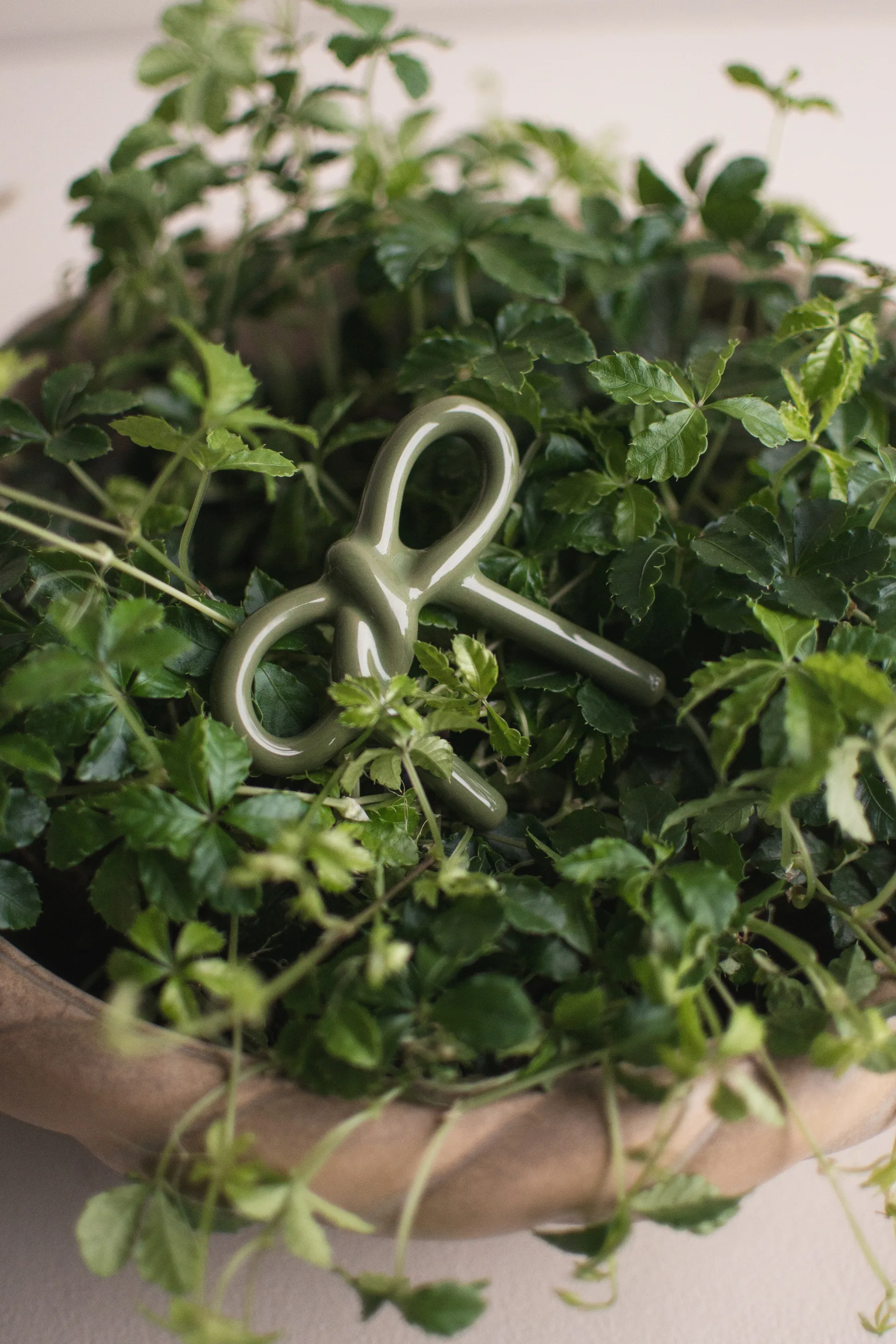 Bowフローラルデコレーション, Shiny green DBKD | ディービーケーディー