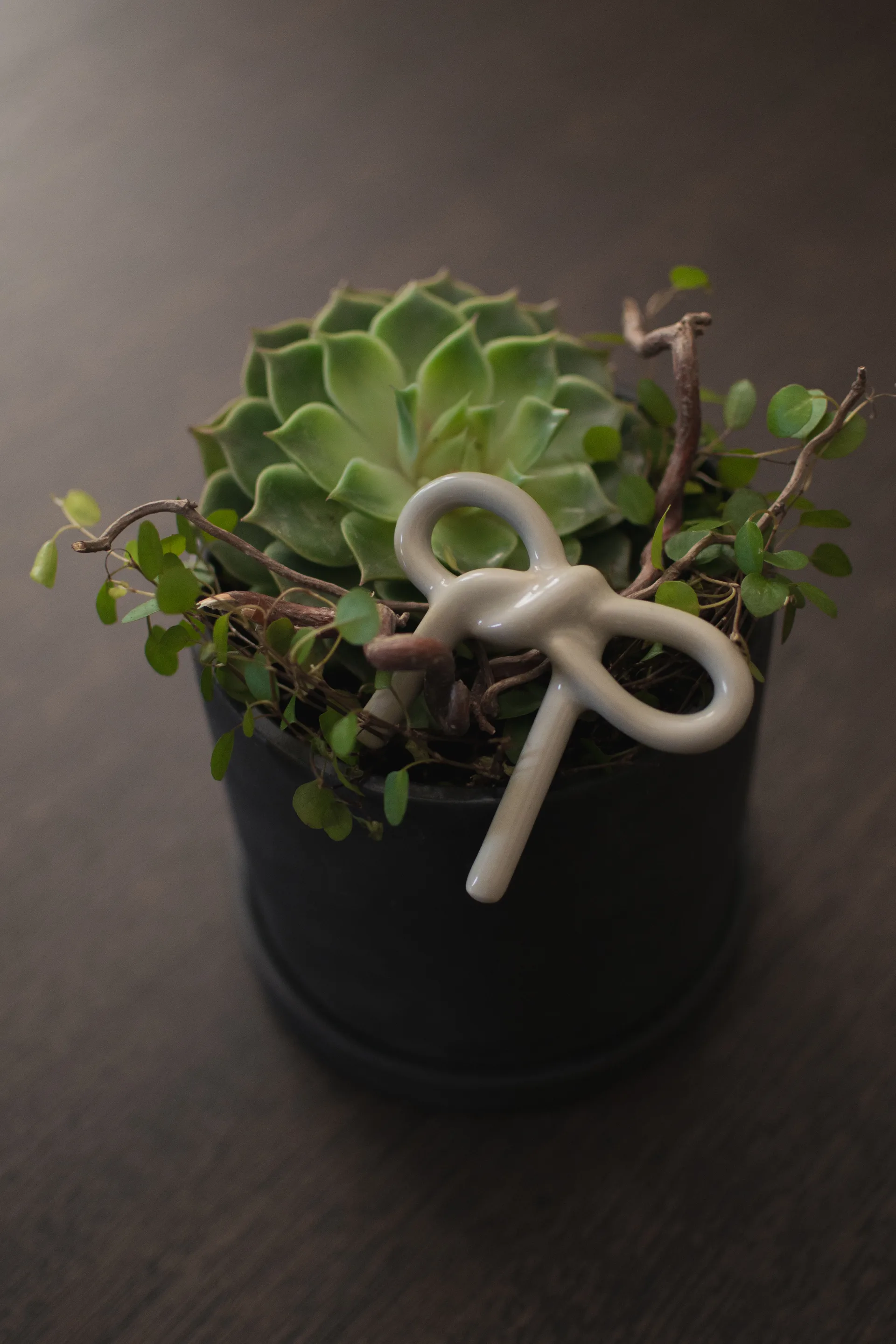 Bowフローラルデコレーション, Shiny Mole DBKD | ディービーケーディー