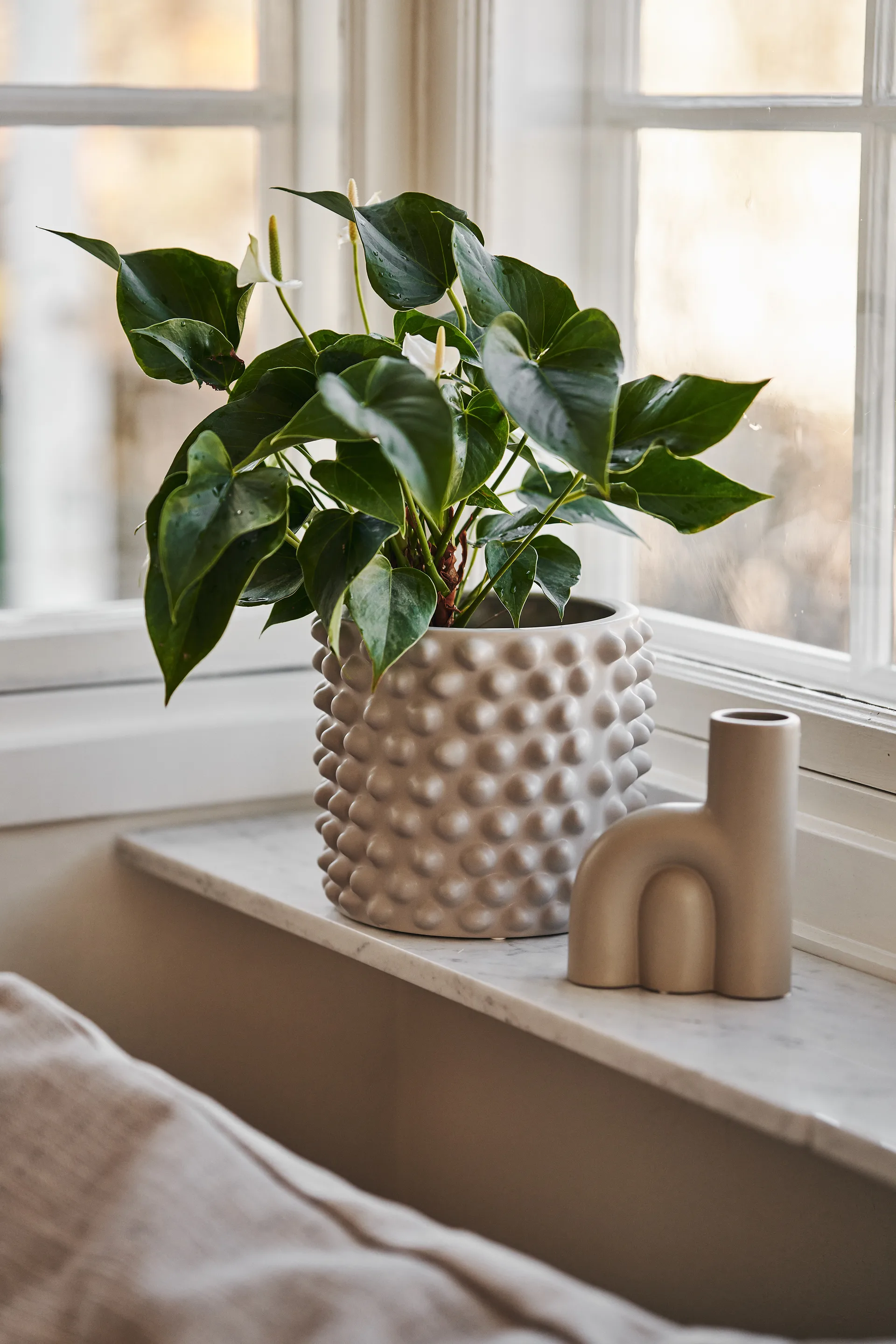 Cloudy 植木鉢 グレージュ, Liten DBKD | ディービーケーディー