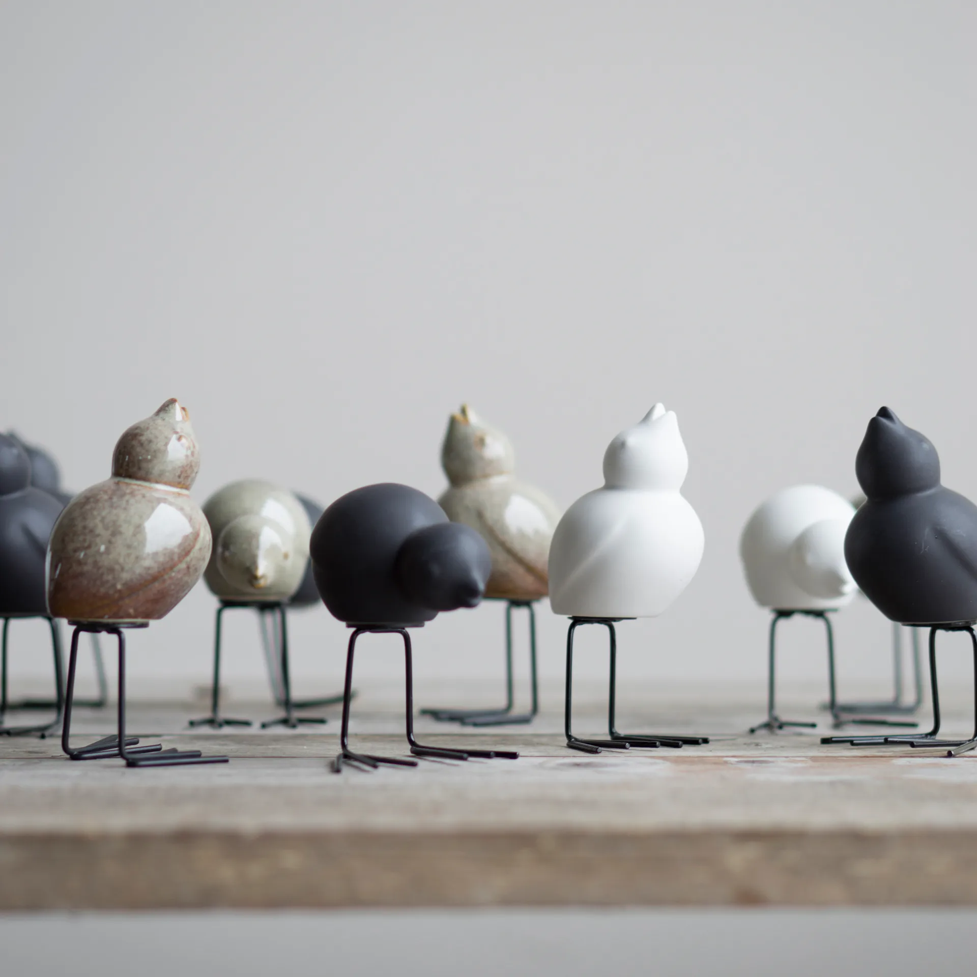 DBKD イースターチキン 2パック, White DBKD | ディービーケーディー