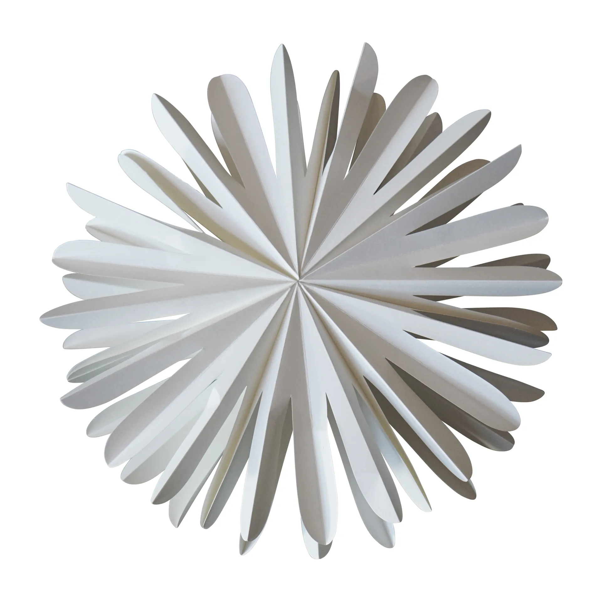 ペーパーフレーク デコレーション, Extra large DBKD | ディービーケーディー