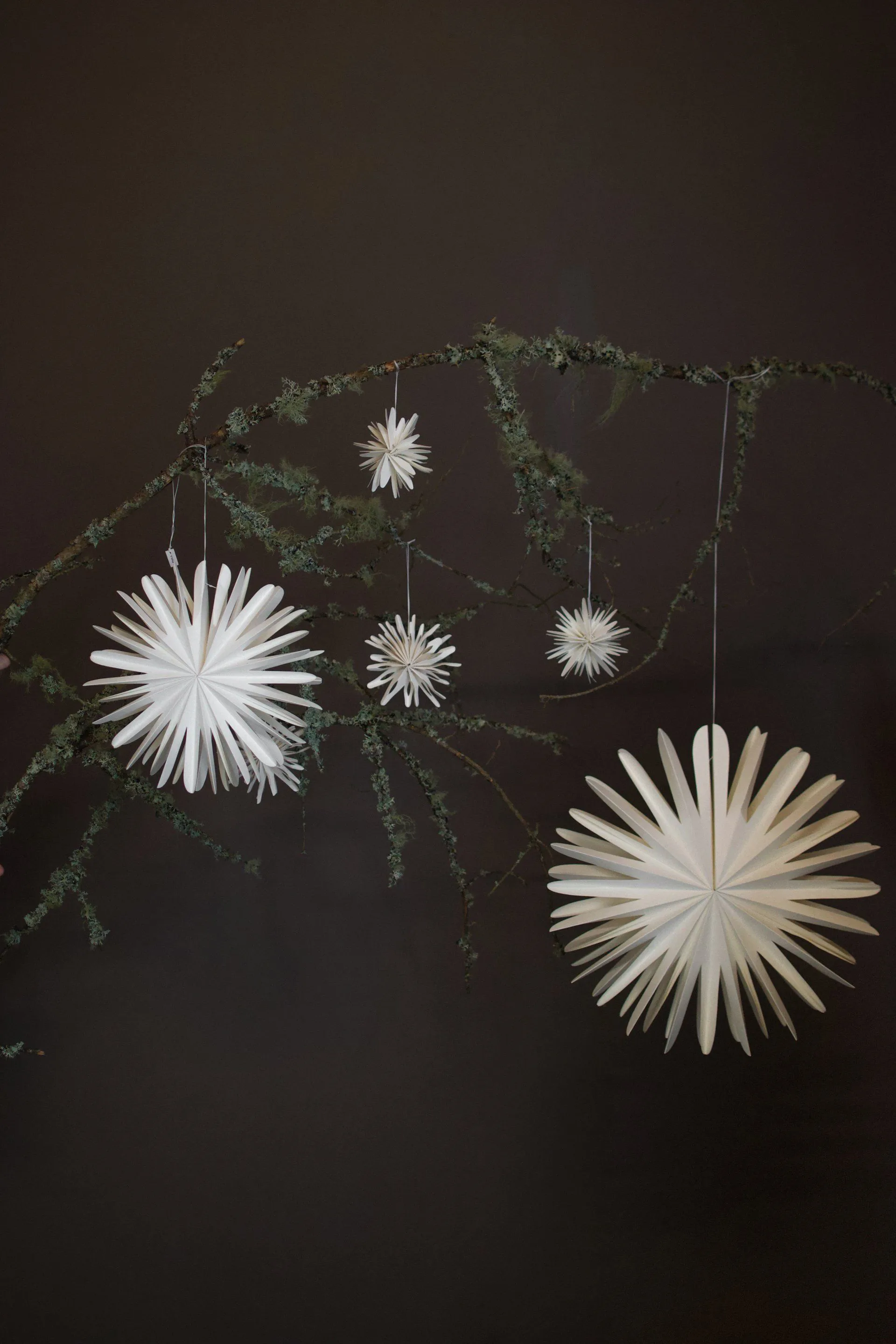 ペーパーフレーク デコレーション, Extra large DBKD | ディービーケーディー