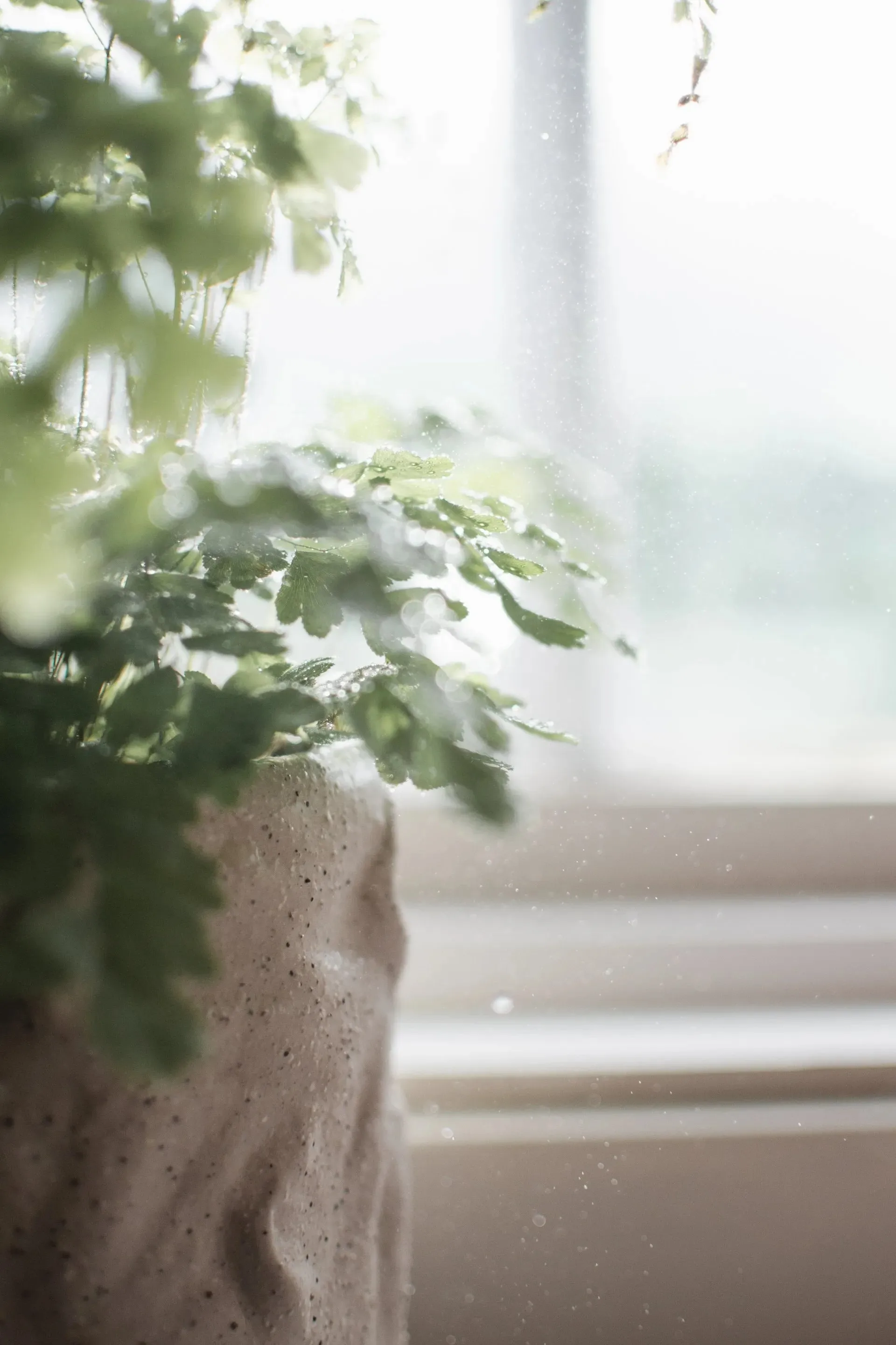 Flow 植木鉢 Ø15 cm, Sand DBKD | ディービーケーディー