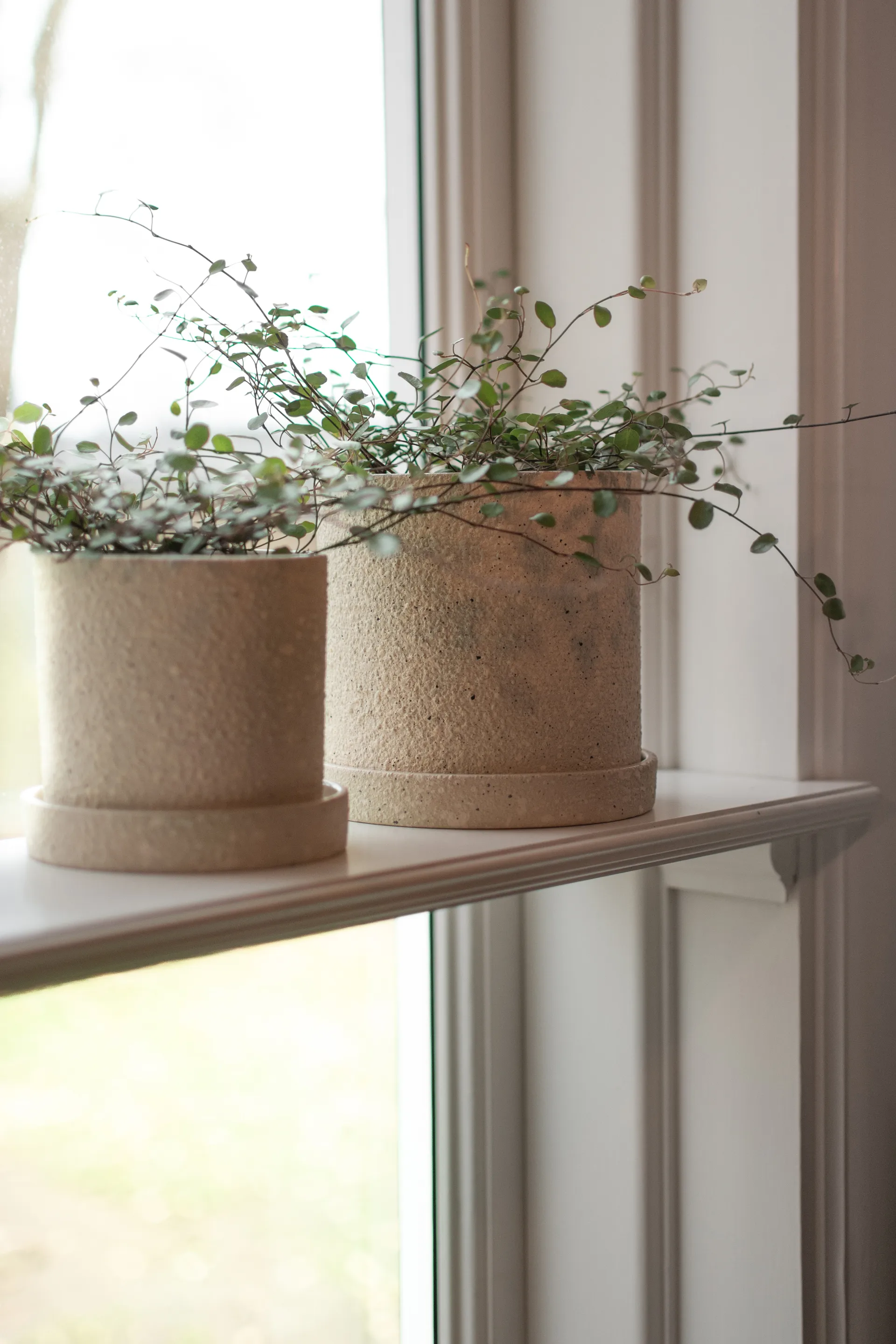 Grow 植木鉢 受け皿付 Ø13 cm, Creme structure DBKD | ディービーケーディー