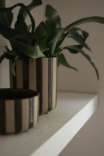 Line 鉢 Ø14x16 cm - Stripe Green - DBKD | ディービーケーディー