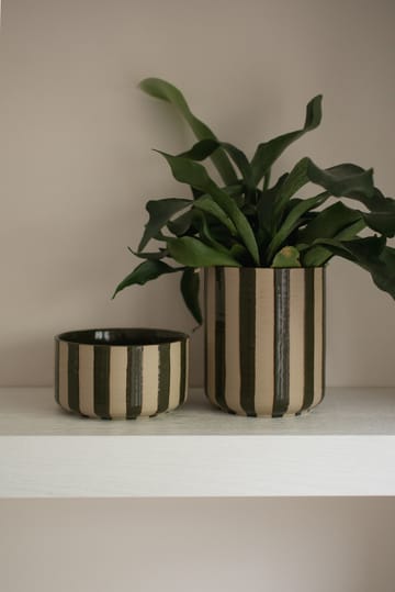 Line 鉢 Ø14x16 cm - Stripe Green - DBKD | ディービーケーディー