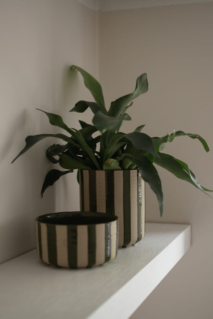 Line 鉢 Ø14x16 cm, Stripe Green DBKD | ディービーケーディー