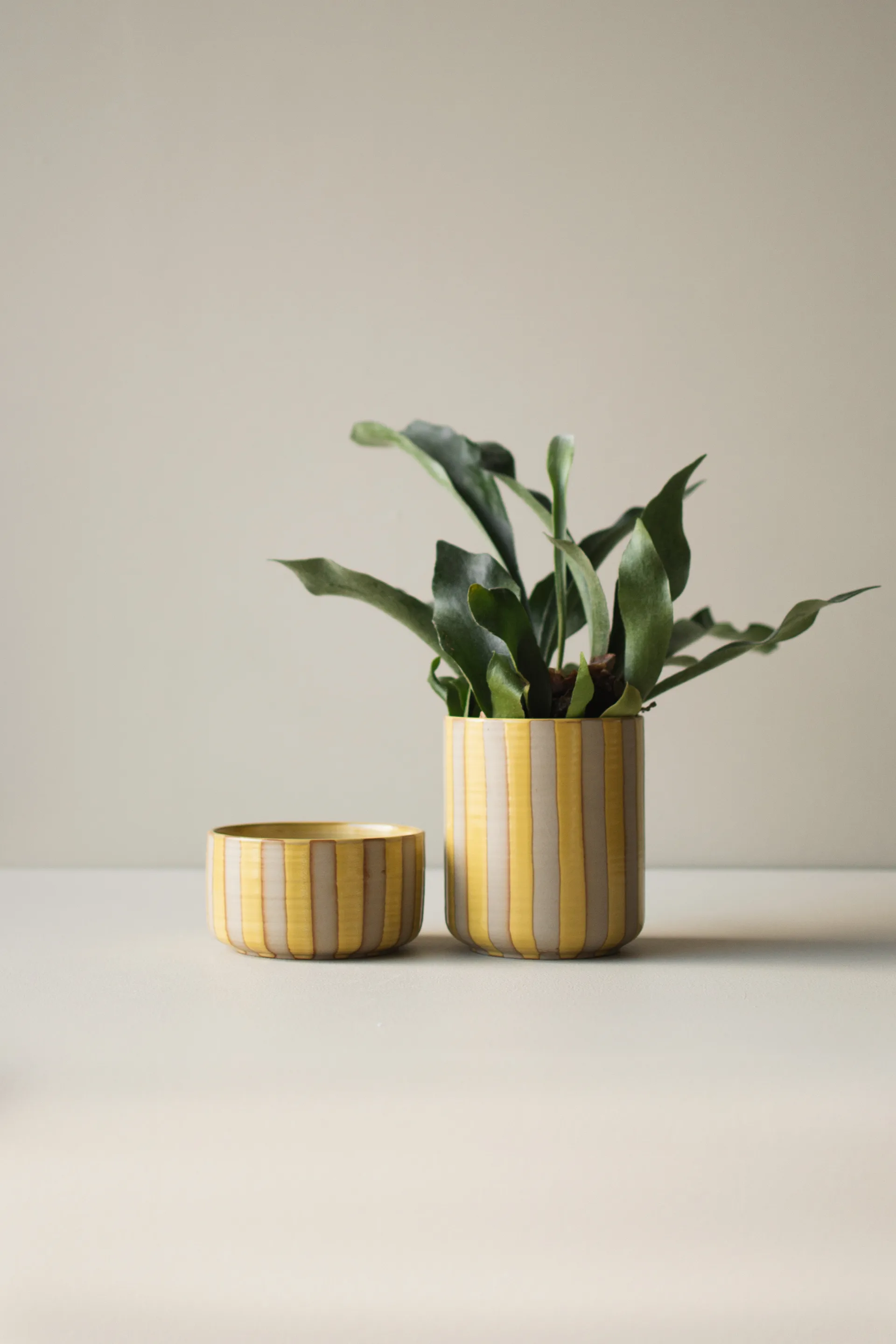 Line 鉢 Ø14x16 cm, Yellow DBKD | ディービーケーディー