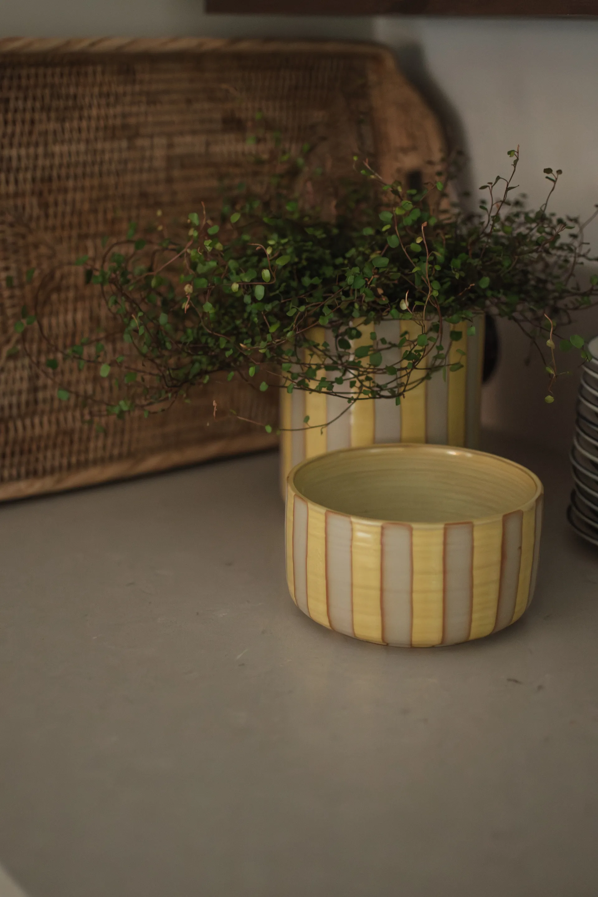 Line デコレーションボウル Ø16 cm, Yellow DBKD | ディービーケーディー