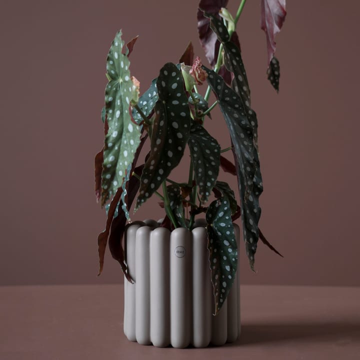 Mist 植木鉢 スモール - Dust - DBKD | ディービーケーディー