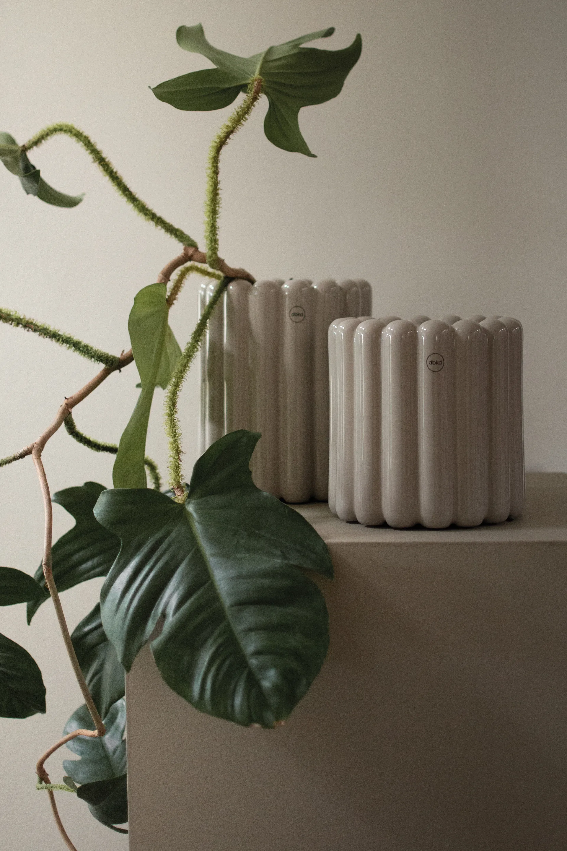 Mist 植木鉢 S, Shiny mole DBKD | ディービーケーディー