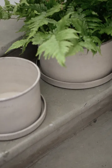 Plant ボウル 植木鉢 2個 - Beige - DBKD | ディービーケーディー