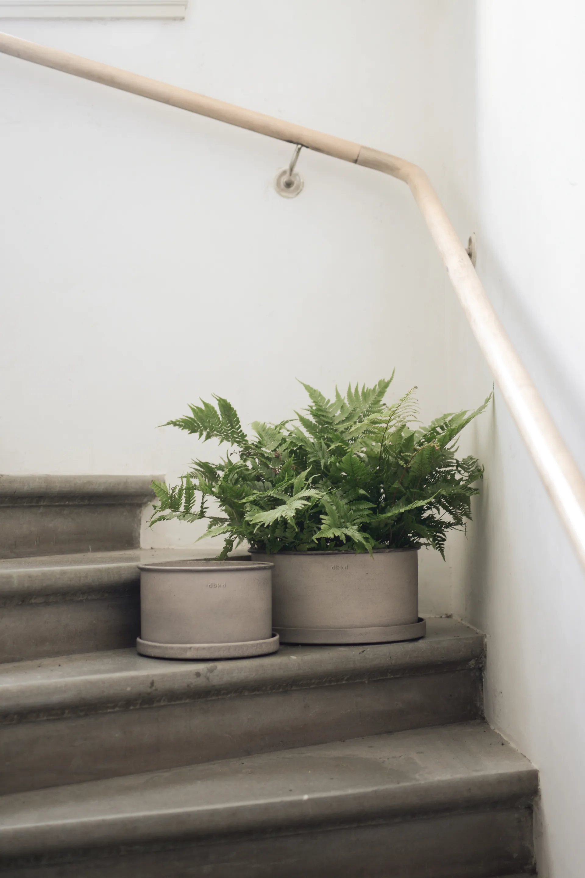 Plant ボウル 植木鉢 2個, Beige DBKD | ディービーケーディー