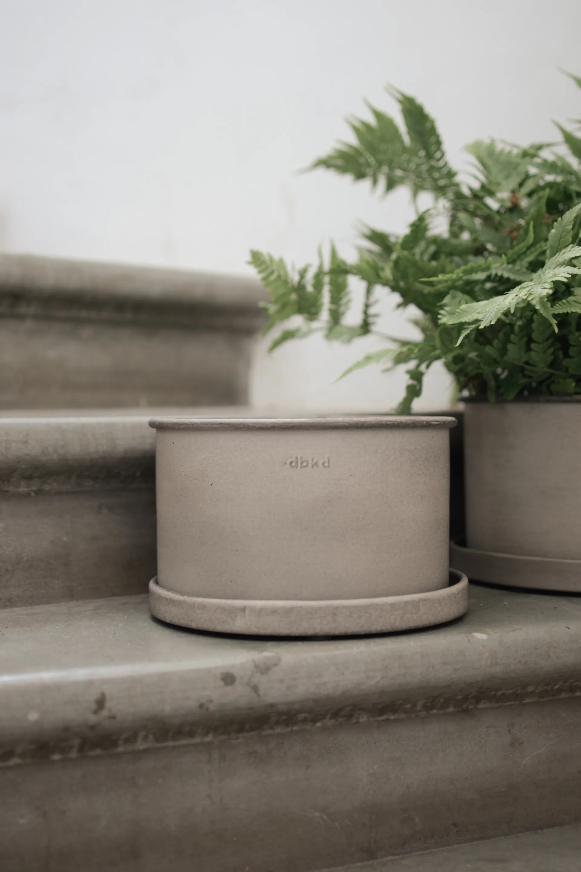 Plant ボウル 植木鉢 2個, Beige DBKD | ディービーケーディー