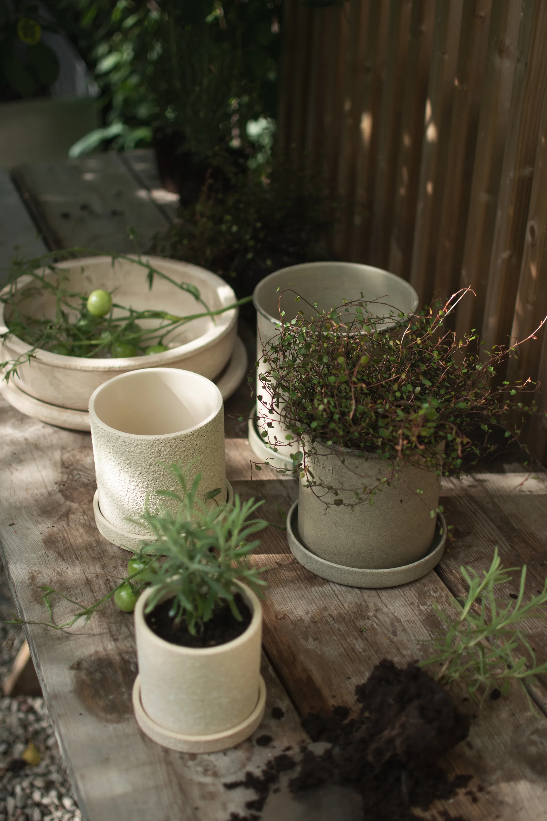 Plant pot 植木鉢 スモール 2個セット, Beige DBKD | ディービーケーディー