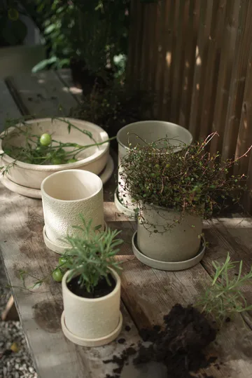 Plant pot 植木鉢 スモール 2個セット - Beige - DBKD | ディービーケーディー