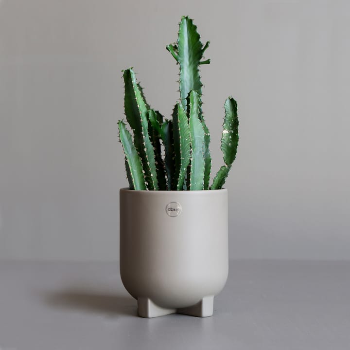 Plus 植木鉢 Ø14 cm, dust DBKD | ディービーケーディー