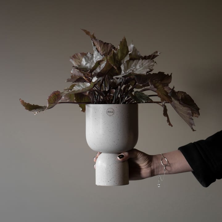 Post 植木鉢 Ø13 cm, mole dot DBKD | ディービーケーディー