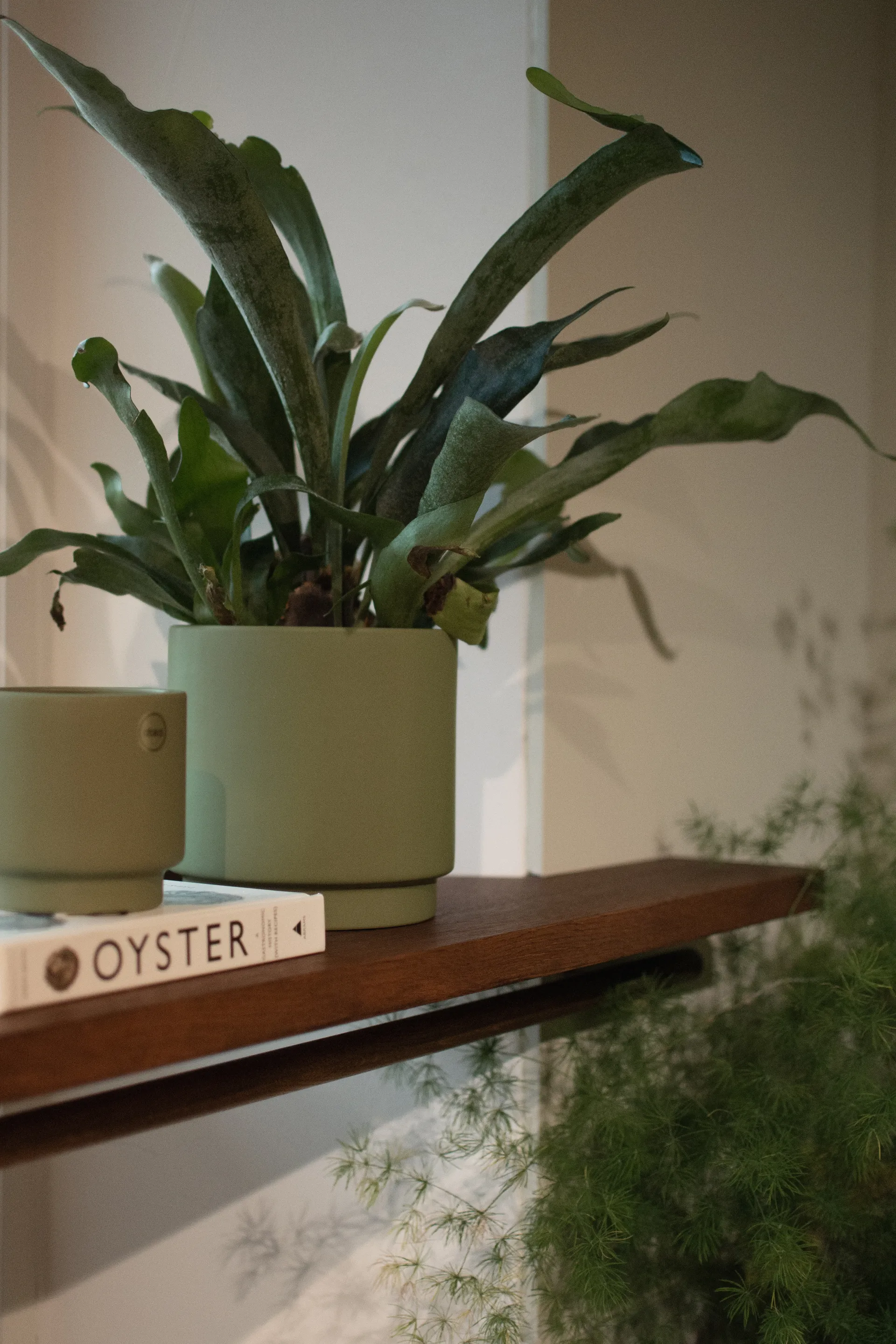 Solid 鉢 green, Medium, Ø16 cm DBKD | ディービーケーディー