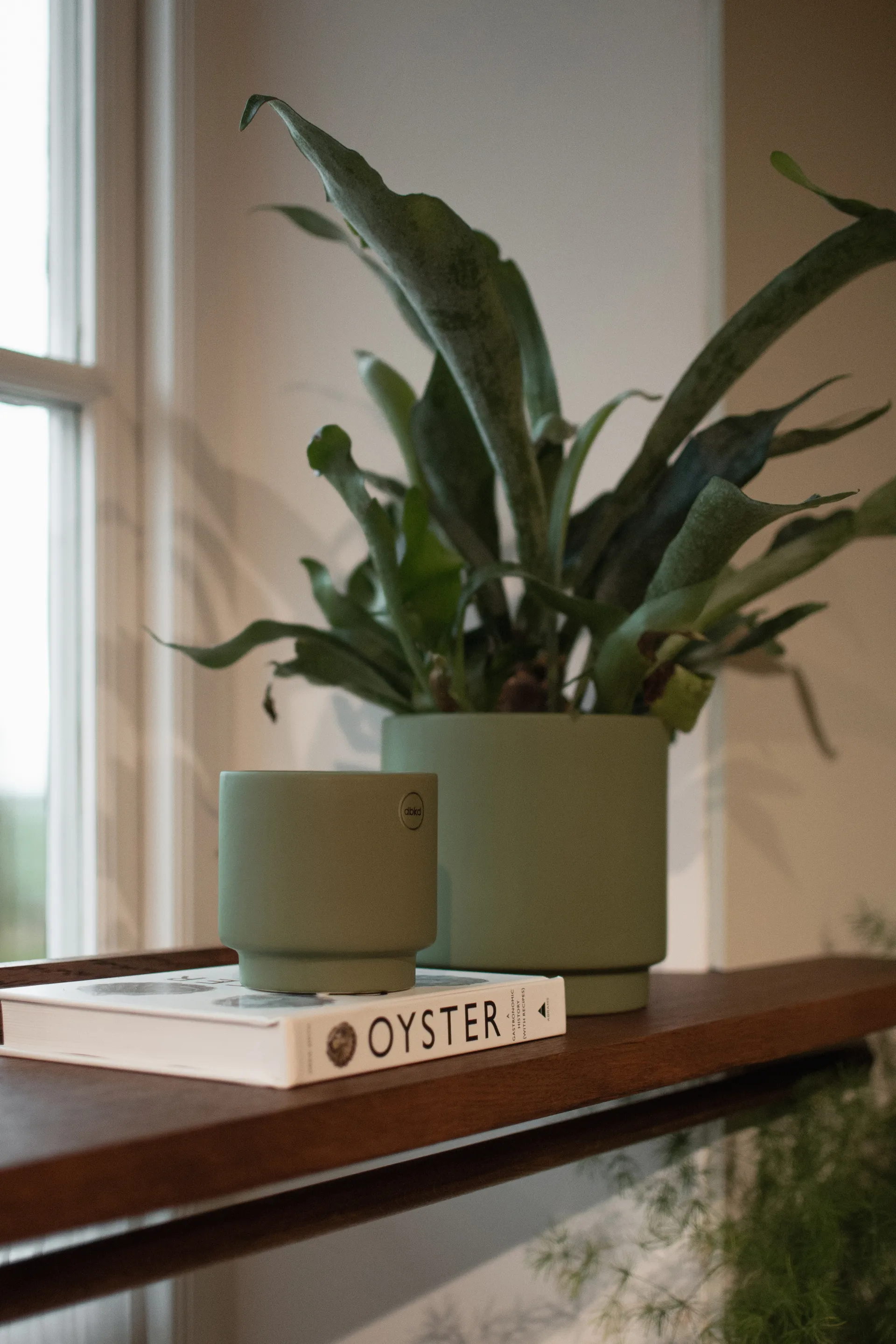 Solid 鉢 green, Small, Ø10 cm DBKD | ディービーケーディー