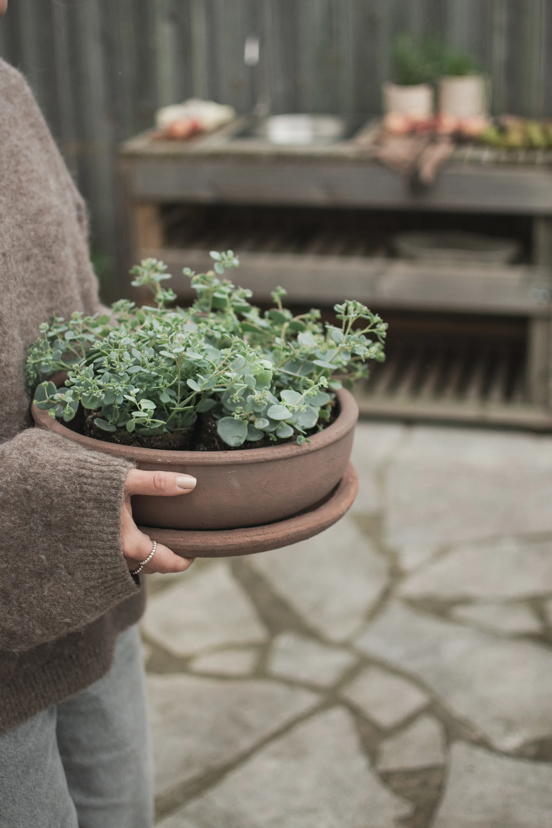 Terra ボウルプランター, Brown, Ø30x10.5 cm DBKD | ディービーケーディー