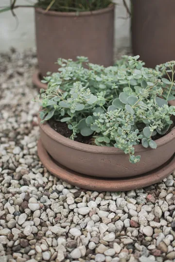 Terra ボウルプランター - Brown, Ø30x10.5 cm - DBKD | ディービーケーディー