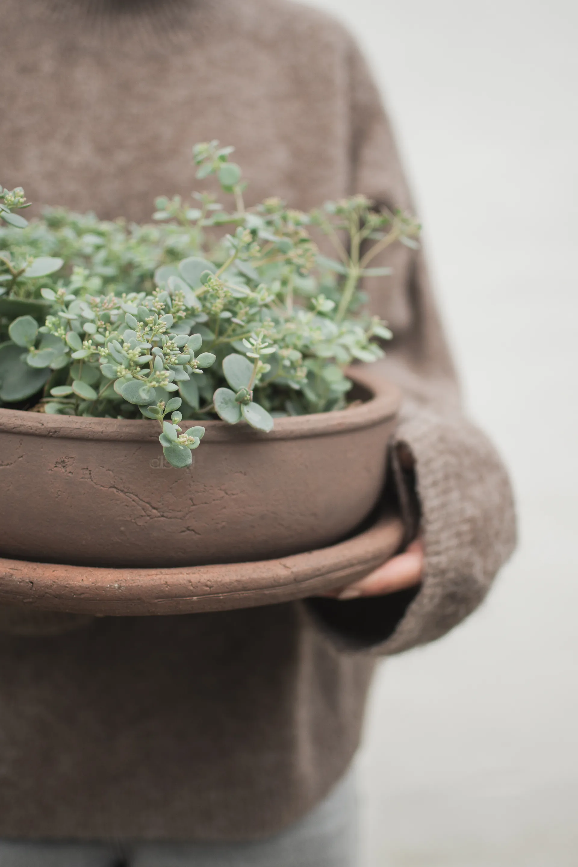 Terra ボウルプランター, Brown, Ø30x10.5 cm DBKD | ディービーケーディー