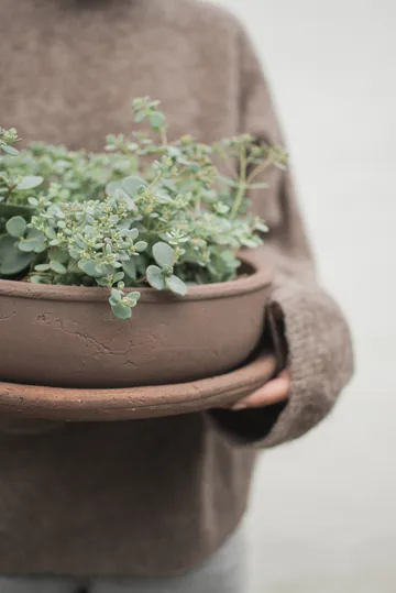 Terra ボウルプランター - Brown, Ø30x10.5 cm - DBKD | ディービーケーディー