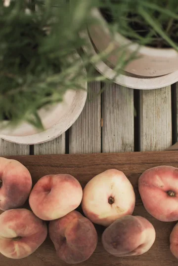 Terra ポット - Sand, Ø16x16 cm - DBKD | ディービーケーディー