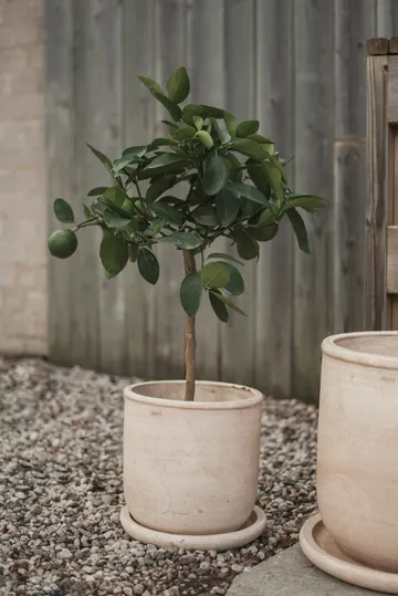 Terra ポット - Sand, Ø23x26 cm - DBKD | ディービーケーディー