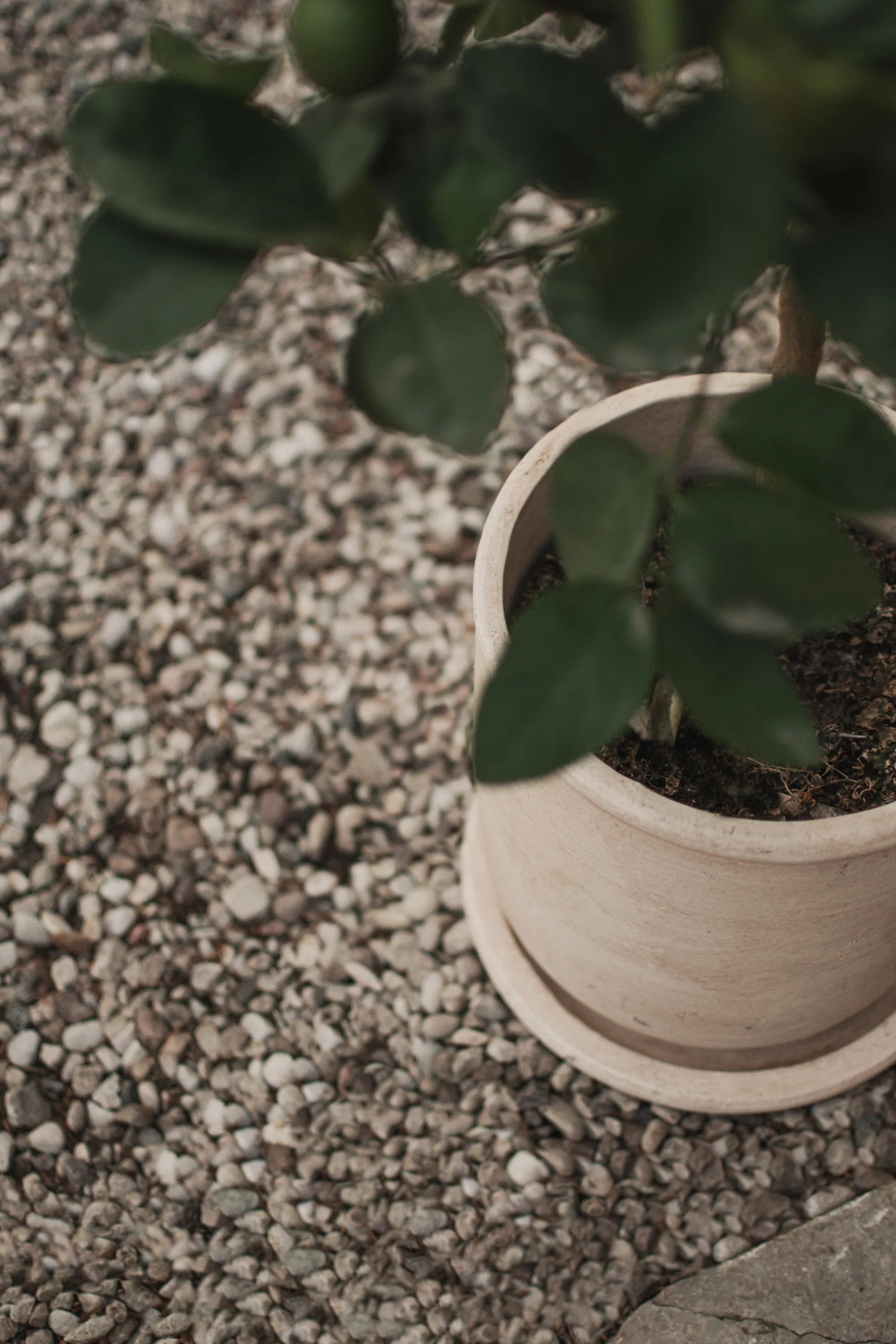 Terra ポット, Sand, Ø23x26 cm DBKD | ディービーケーディー