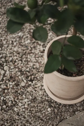 Terra ポット - Sand, Ø23x26 cm - DBKD | ディービーケーディー