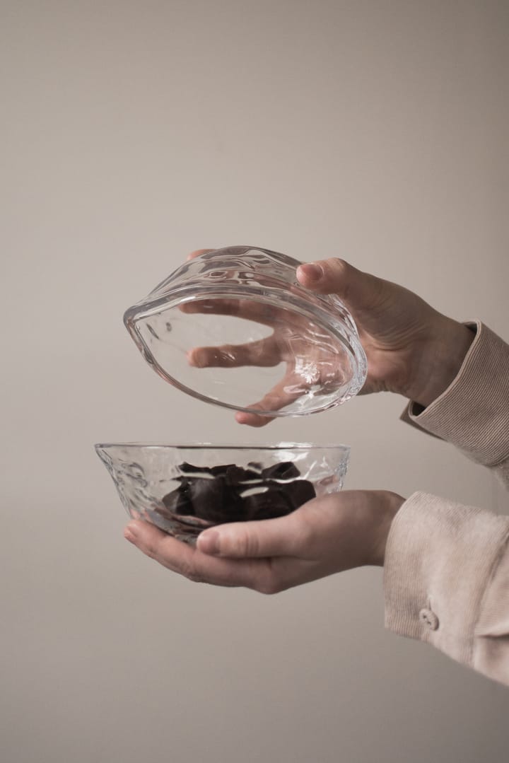 Walnut 蓋つきボウル, Clear DBKD | ディービーケーディー