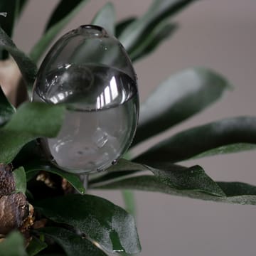 Waterbubble self-watering device - clear - DBKD | ディービーケーディー