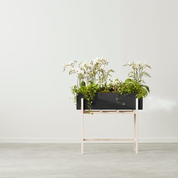 Botanic フラワースタンド - Black-ash - Design House Stockholm | デザインハウス ストックホルム