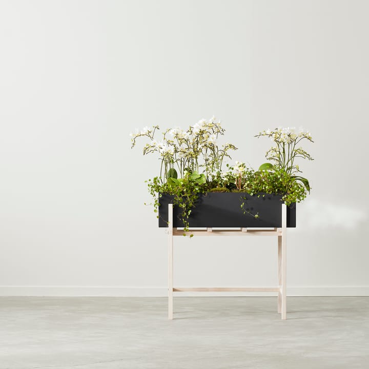 Botanic フラワースタンド, Black-ash Design House Stockholm | デザインハウス ストックホルム
