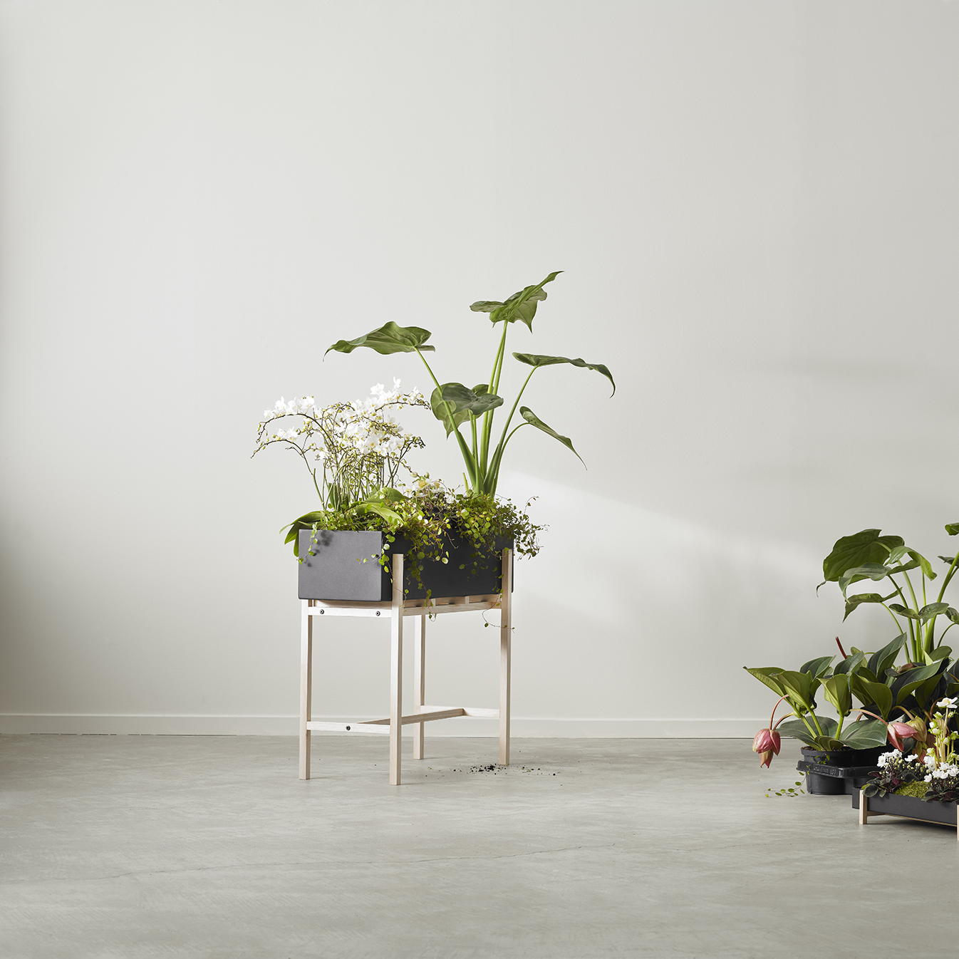 Design House Stockholm | デザインハウス ストックホルム から