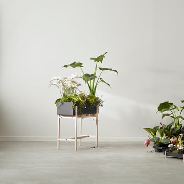 Botanic フラワースタンド - Black-ash - Design House Stockholm | デザインハウス ストックホルム