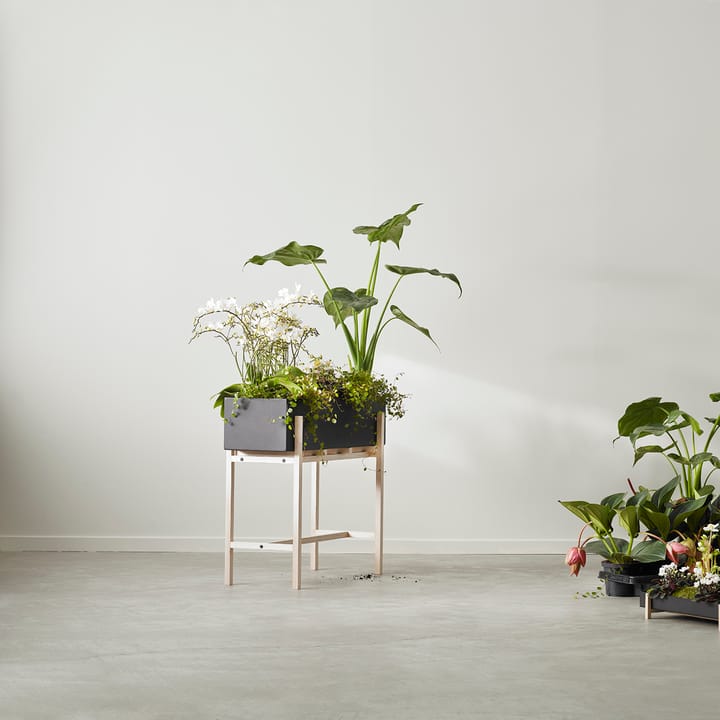 Botanic フラワースタンド, Black-ash Design House Stockholm | デザインハウス ストックホルム