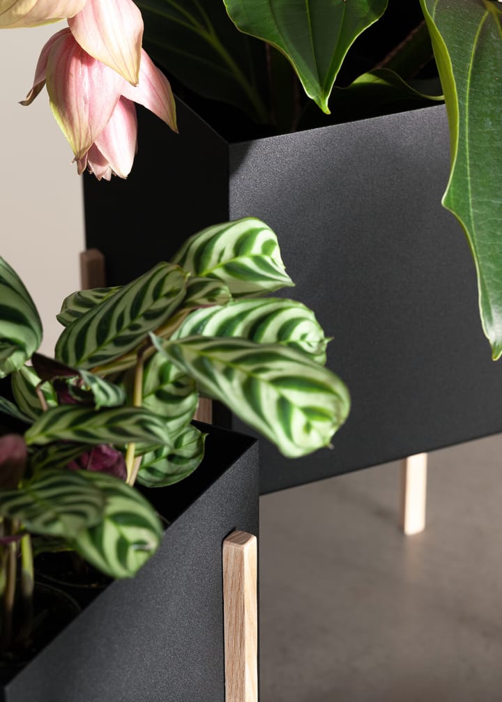Botanic ポット 植木鉢, Black-box Design House Stockholm | デザインハウス ストックホルム