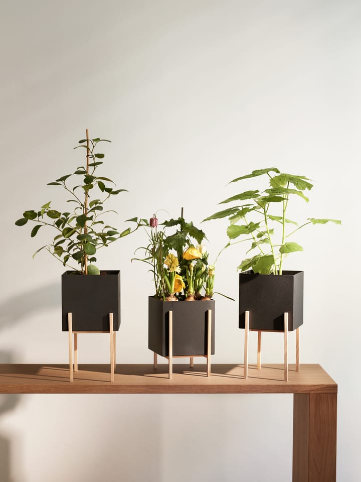 Botanic ポット 植木鉢 - Black-box - Design House Stockholm | デザインハウス ストックホルム