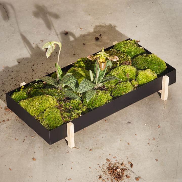 Botanic フラワー トレイ フラワー ボックス, black Design House Stockholm | デザインハウス ストックホルム